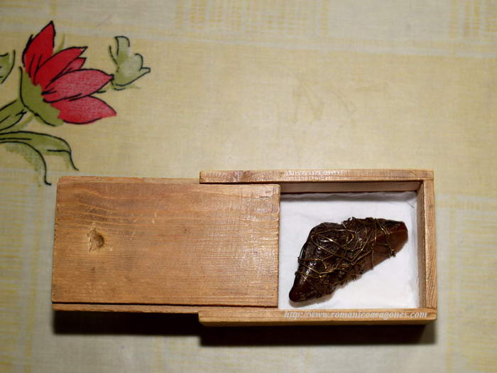 LA PIEDRA DE ORDOVS EN SU TECA